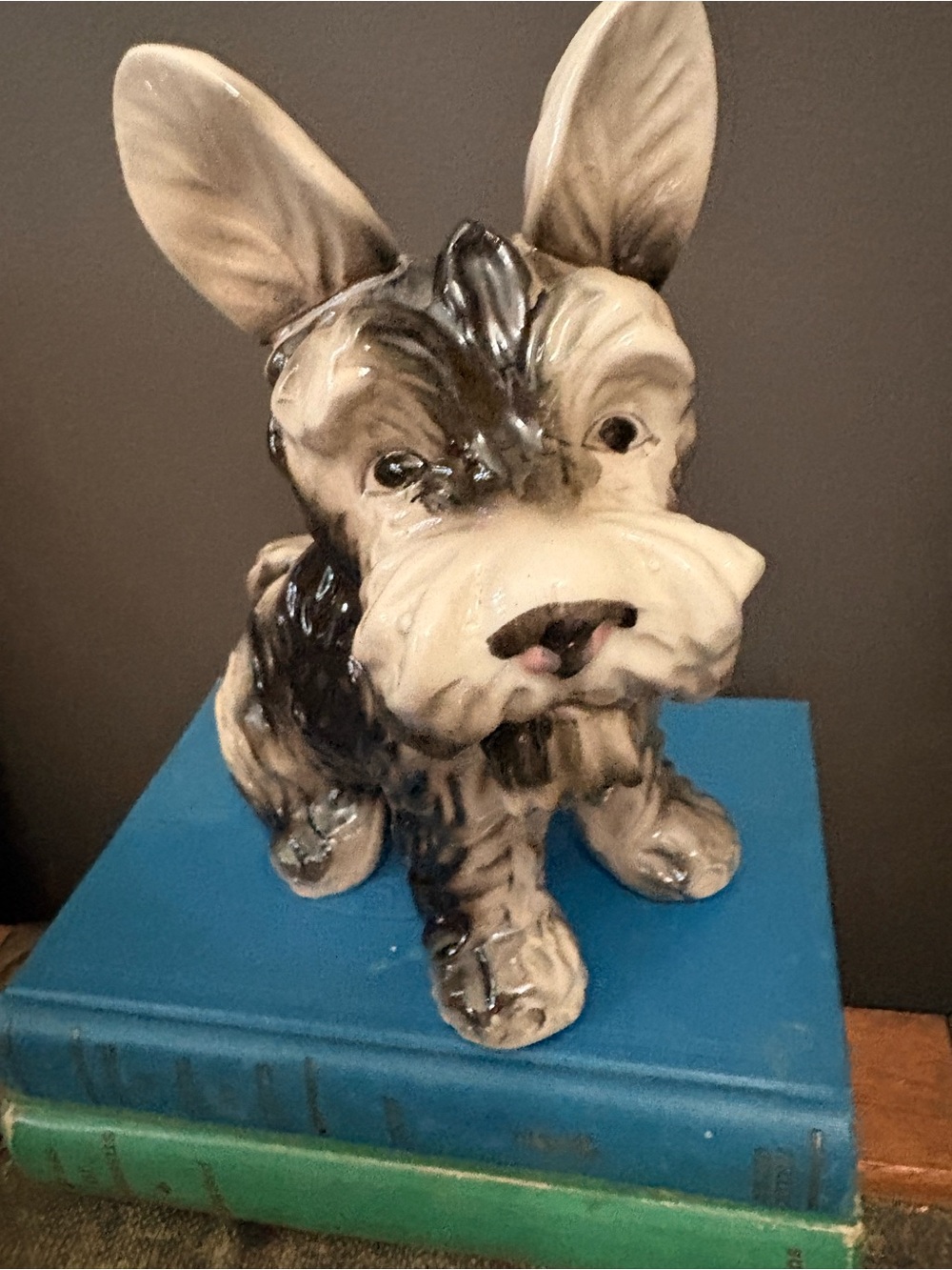 Ceramic Scottie Dog Planter in Black and Cream